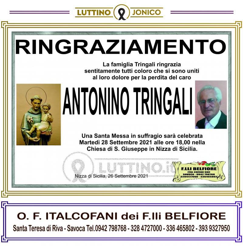 Antonino  Tringali 